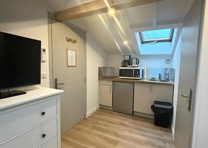 Gambetta Lejlighed Cannes